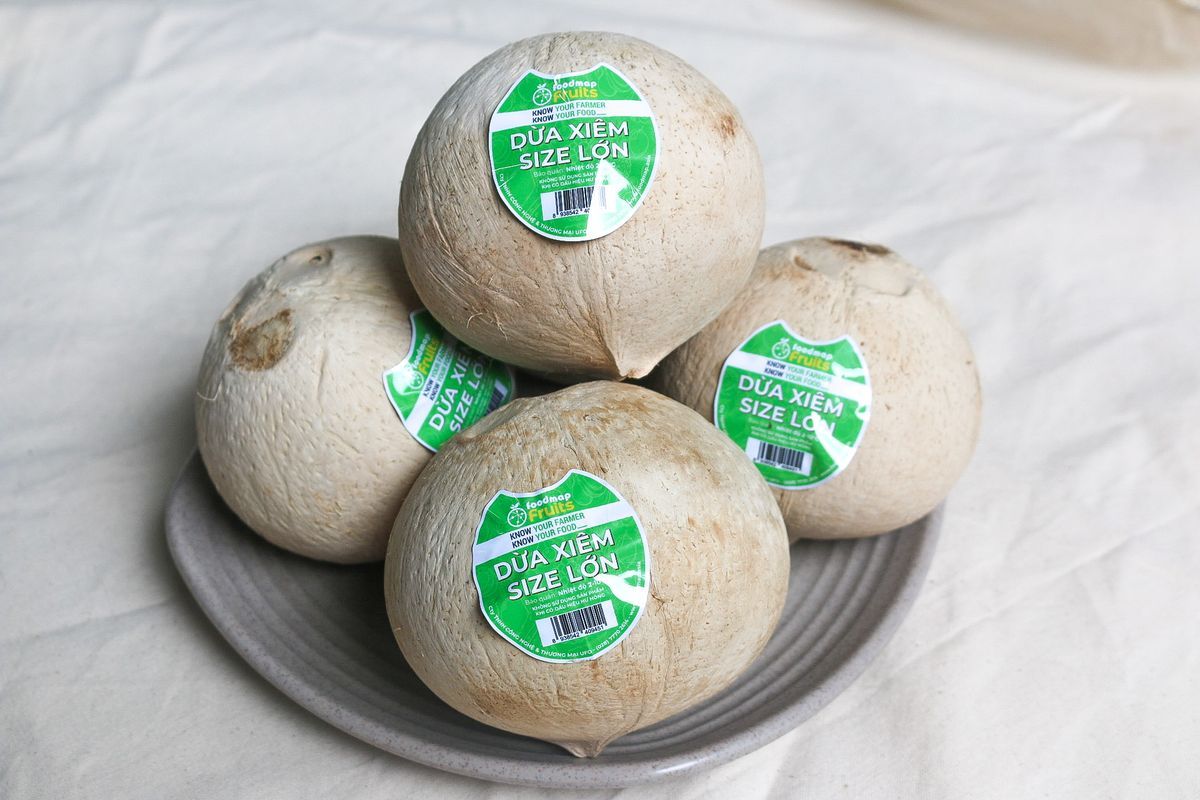Dừa Sọ Tươi Ngon - Size L (450gr UP) - Trái - FOODMAP Fruits