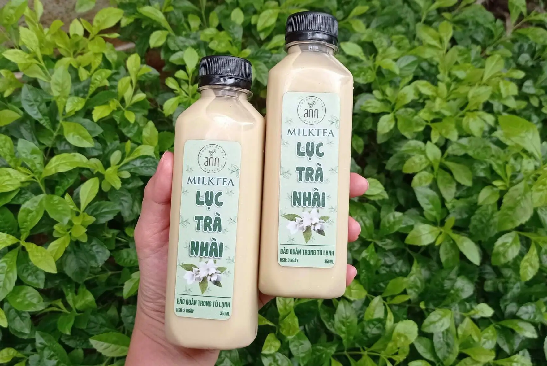 Lục trà nhài